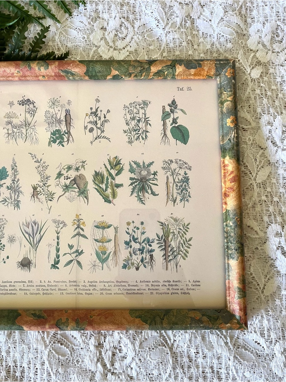 Vintage Wood Framed Floral Herbal Chart 8x10 - Picture 3 of 4